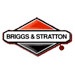 brands-briggs_and_stratton